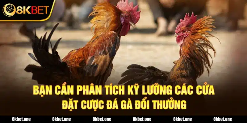 Bạn cần phân tích kỹ lưỡng các cửa đặt cược đá gà đổi thưởng