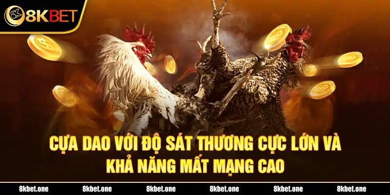 Cựa dao với độ sát thương cực lớn và khả năng mất mạng cao 