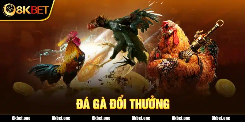 Đá gà đổi thưởng 8Kbet