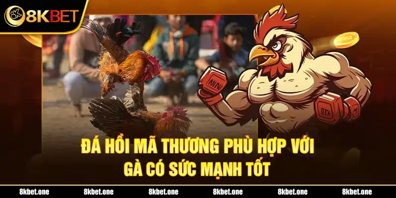 Đá hồi mã thương phù hợp với gà có sức mạnh tốt