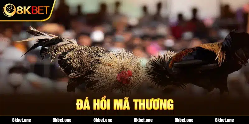 Đá gà hồi mã thương là gì ?