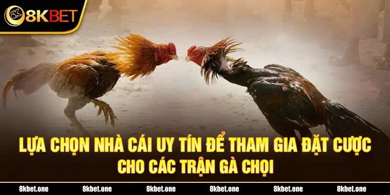 Lựa chọn nhà cái uy tín để tham gia đặt cược cho các trận gà chọi