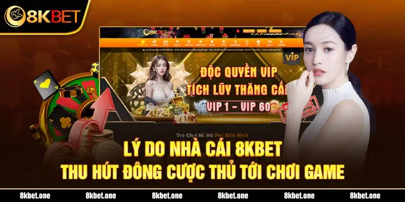 Lý do nhà cái 8Kbet thu hút đông cược thủ tới chơi game