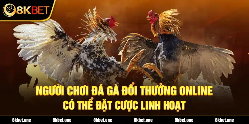 Người chơi đá gà đổi thưởng online có thể đặt cược linh hoạt