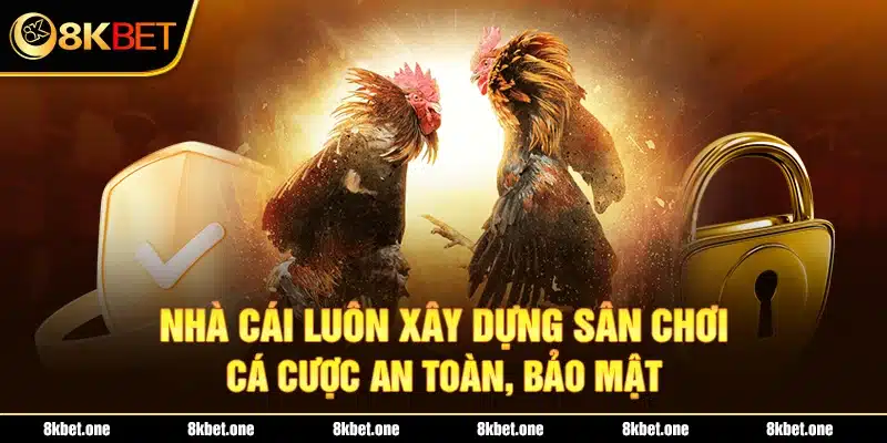 Nhà cái luôn xây dựng sân chơi cá cược an toàn, bảo mật