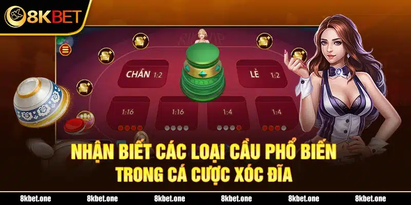 Nhận biết các loại cầu phổ biến trong cá cược xóc đĩa