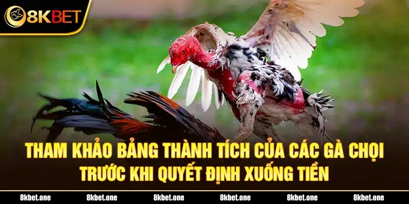 Tham khảo bảng thành tích của các gà chọi trước khi quyết định xuống tiền