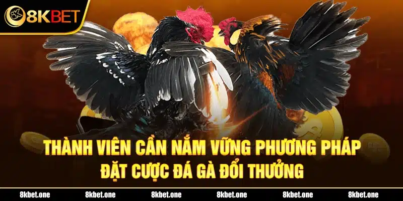 Thành viên cần nắm vững phương pháp đặt cược đá gà đổi thưởng