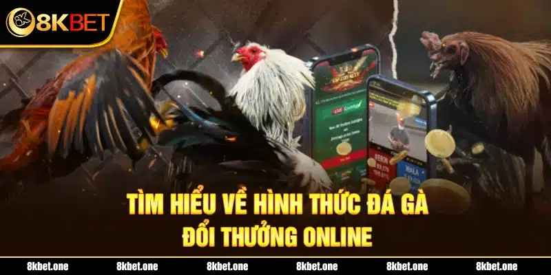 Tìm hiểu về hình thức đá gà đổi thưởng online