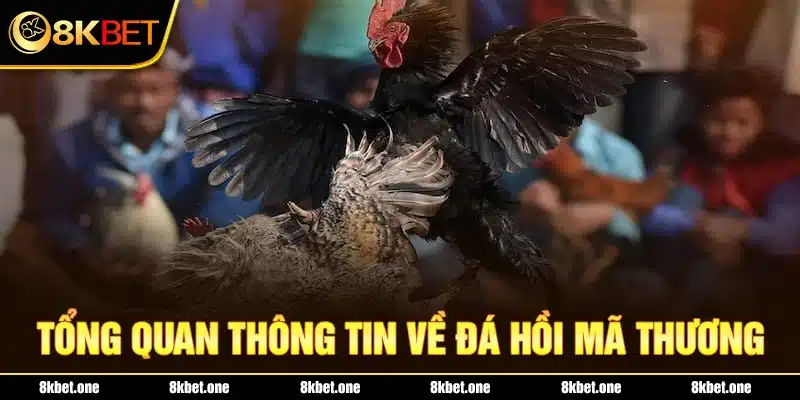 Tổng quan thông tin về đá hồi mã thương