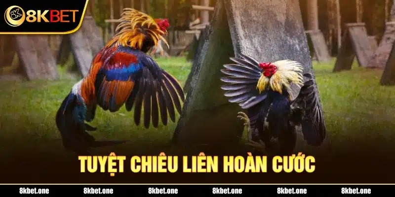 Tuyệt chiêu liên hoàn cước