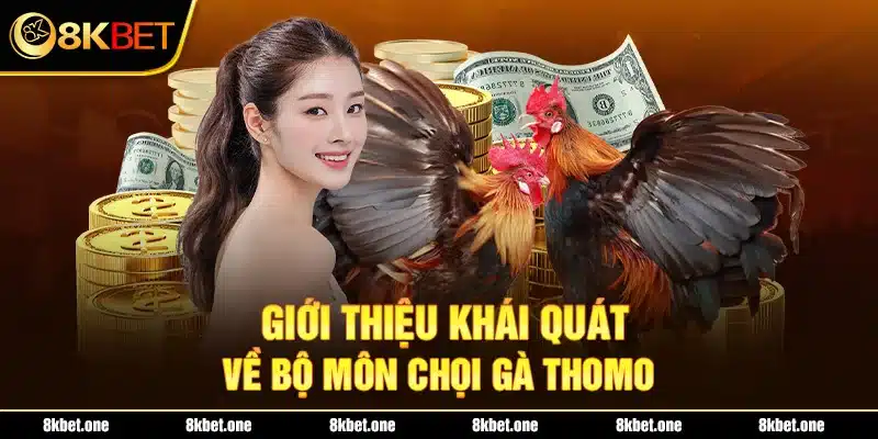 Giới thiệu khái quát về bộ môn chọi gà Thomo