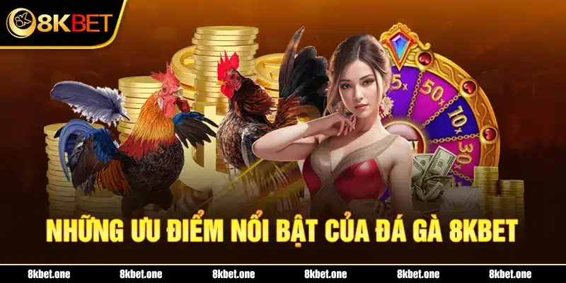 Những ưu điểm nổi bật của đá gà 8KBET