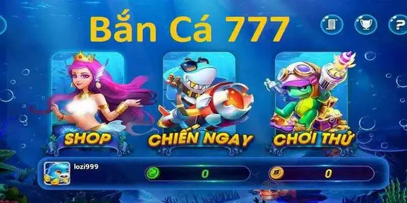 Giới thiệu thông tin tổng quan về Bắn Cá Xu Vàng 777